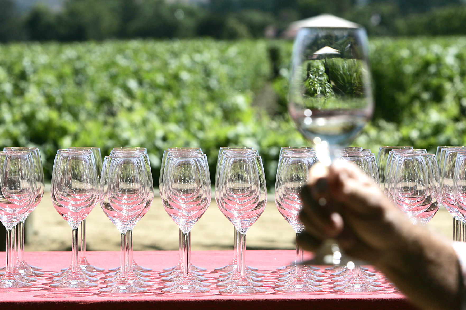 Napa Valley Barrel Auction 2017